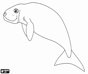 desenho de Dugongo, um animal do Oceano Índico para colorir