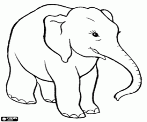 desenho de Elefante feliz para colorir