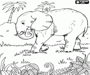 desenho de Um elefante na vegetação para colorir