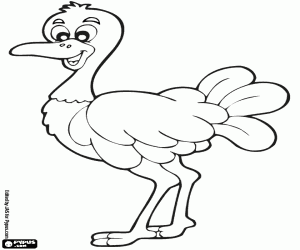 desenho de Um emu, um grande pássaro australiano para colorir