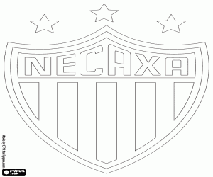 desenho de Escudo do Club Necaxa para colorir