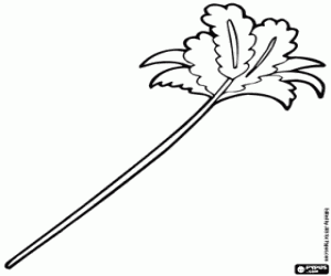 desenho de Um espanador para brincar com o gato para colorir