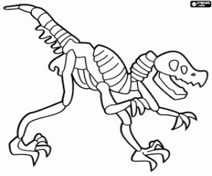 desenho de Esqueleto de dinossauro para colorir