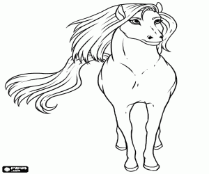desenho de Um extraordinário cavalo selvagem para colorir
