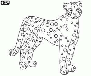 desenho de Um felino africano, a chita para colorir