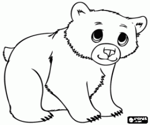 desenho de Filhote de urso, bebê urso para colorir