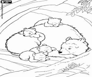desenho de Filhotes de urso com sua mãe para colorir