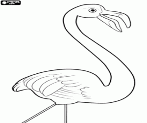 desenho de Flamingo, um flamingo solitário para colorir