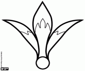 desenho de Uma flor Amaryllus para colorir