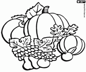 desenho de Frutos de outono para colorir