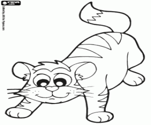 desenho de Gatinho brincalhão para colorir