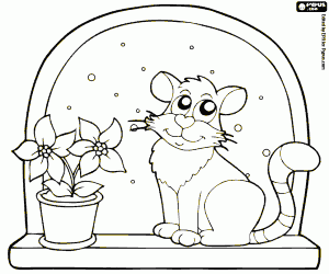 desenho de O gato e a flor de Natal para colorir