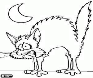 desenho de Um gato agressivo e a lua para colorir