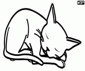 desenho de O gato de Olivia dorme para colorir