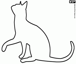 desenho de Gato com pata levantada, silhueta para colorir