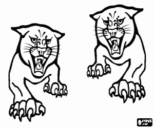 desenho de Dois gatos-bravos pulando para colorir