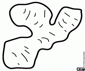 desenho de O gengibre, um rizoma para colorir