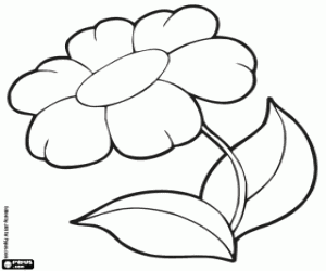 desenho de Gerbera para colorir