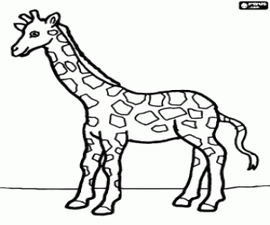 desenho de Girafa, vista do lado para colorir