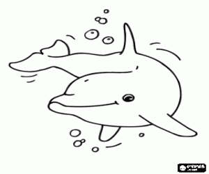 desenho de Golfinho feliz no mar para colorir