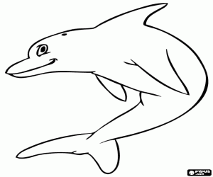 desenho de Um golfinho jovem para colorir