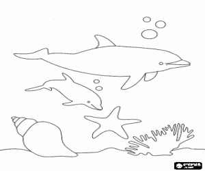 desenho de Golfinhos que nadam no fundo do mar para colorir