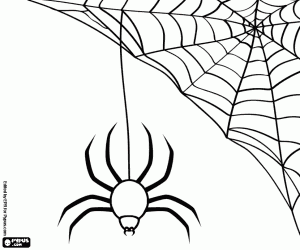 desenho de Uma grande aranha na teia de aranha para colorir