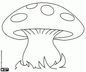 desenho de Um grande cogumelo na floresta para colorir
