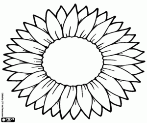 desenho de Uma grande flor para personalizar para colorir