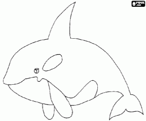 desenho de Uma grande orca, vista lateral para colorir