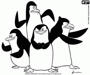 desenho de Grupo de pinguins em ação para colorir