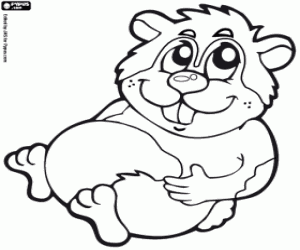 desenho de Hamster gordinho para colorir