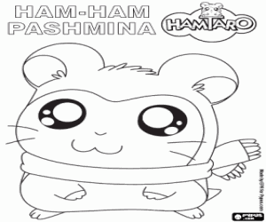 desenho de O hamster Pashmina para colorir