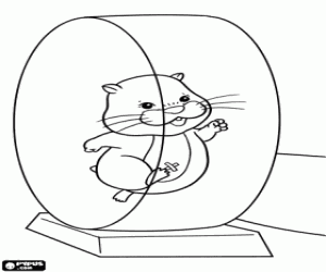 desenho de O hamster Pipsqueak na roda para colorir