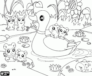 desenho de Hamtaro e amigos na lagoa para colorir