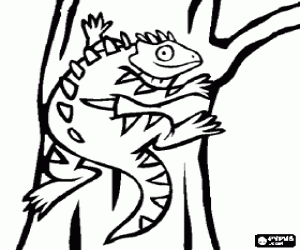 desenho de Iguana no tronco de uma árvore para colorir