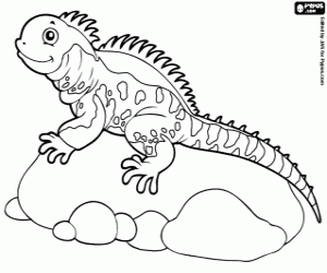 desenho de Iguana em uma rocha para colorir