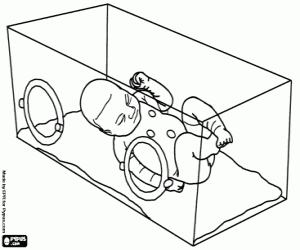 desenho de Infante prematuro na incubadora para colorir