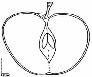 desenho de O interior de uma maçã para colorir