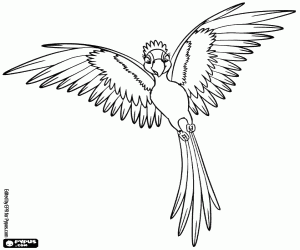 desenho de Jade ostentando suas penas para colorir