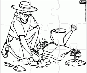 desenho de Uma jardineira com uma planta, puzzle para colorir