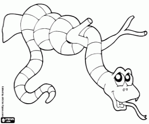 desenho de Jibóia para colorir