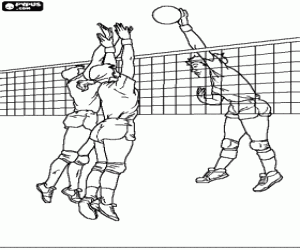 desenho de Uma jogada em uma partida de voleibol para colorir