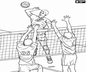 desenho de Jogadores de vôlei perto da rede para colorir