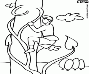 desenho de João e o pé de feijão para colorir