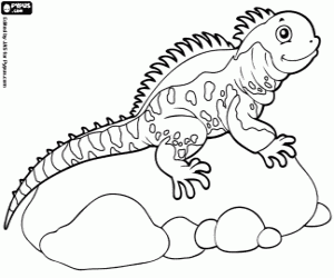 desenho de Lagarto para colorir