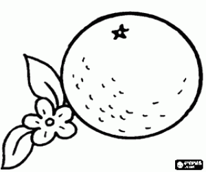 desenho de Uma laranja, uma fruta para colorir