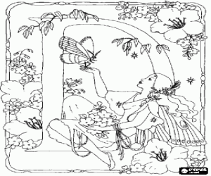 desenho de Letra D no jardim da fada para colorir