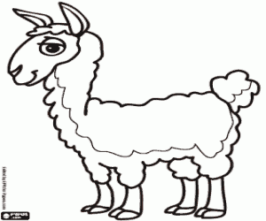 desenho de O lhama, o animal dos incas para colorir