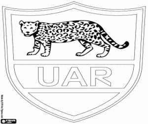 desenho de Logo da equipe argentino de rúgbi para colorir